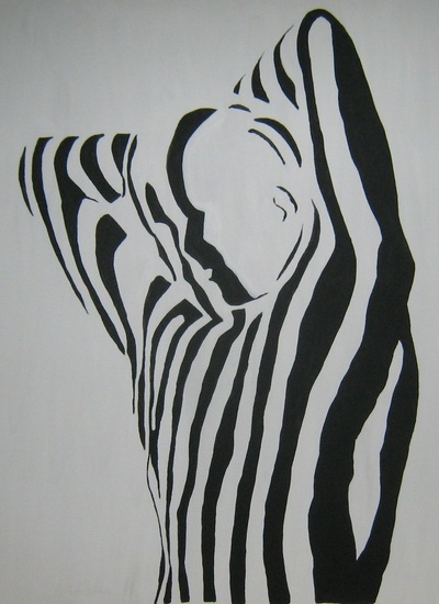 male zebra I