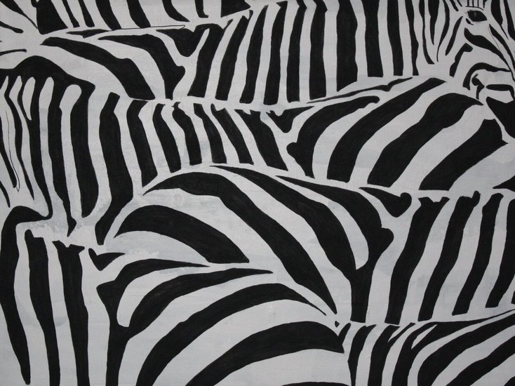 my zebraes