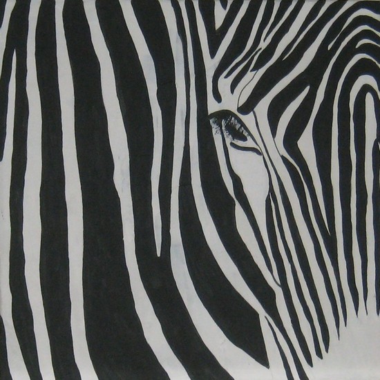 zebra