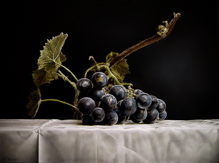 Stilleven met druiven. 2.