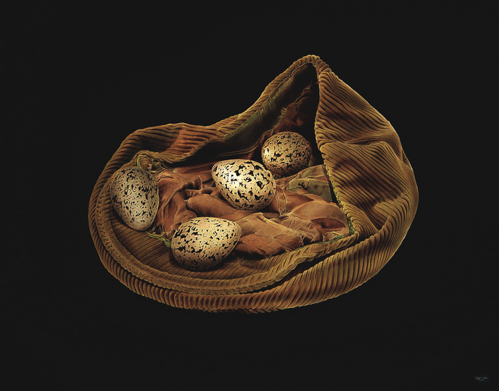 Pet met kievitseiren.