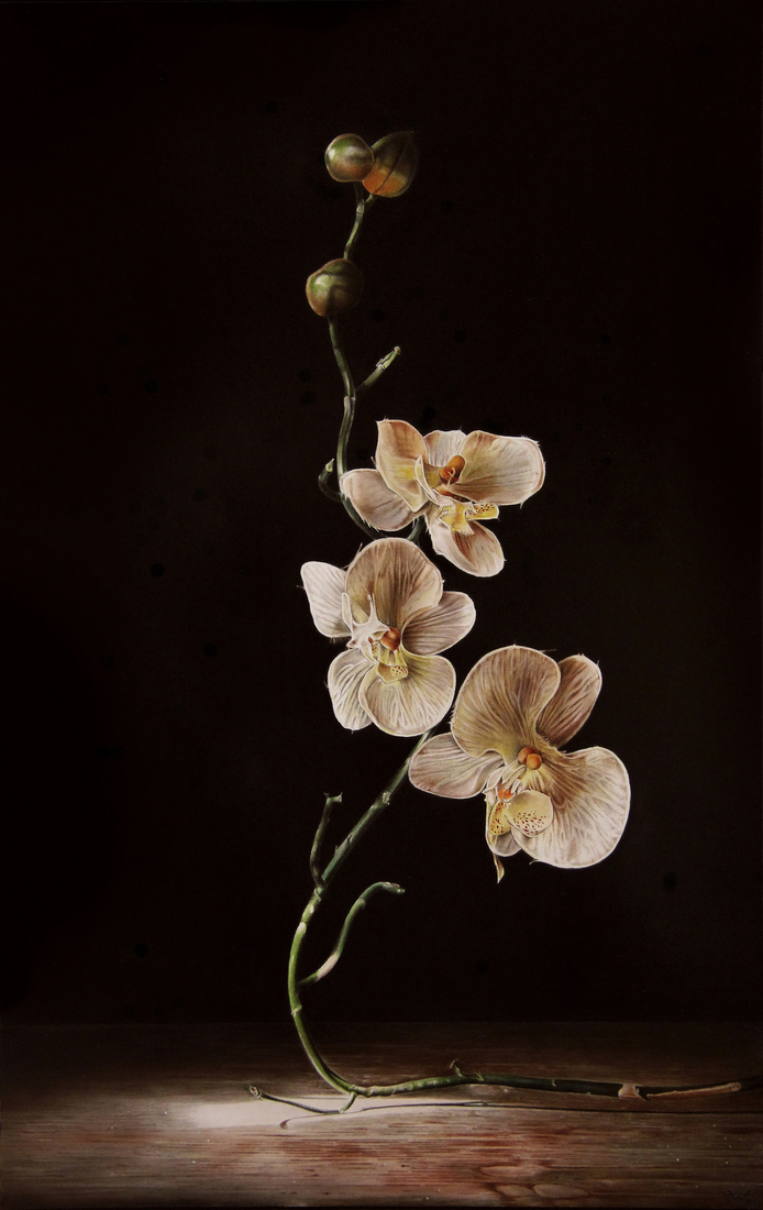 Orchidee   Verkocht/Sold