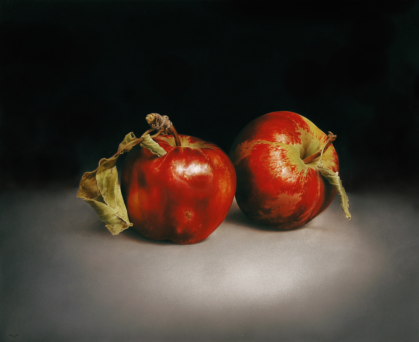 Stilleven met twee appels.