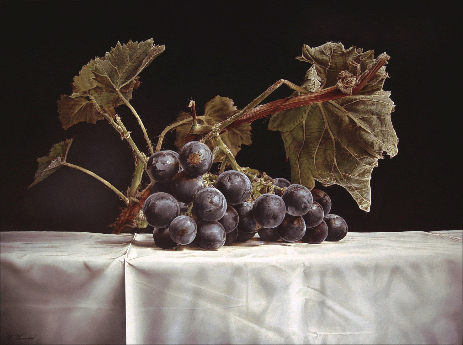 Stilleven met druiven. 1.