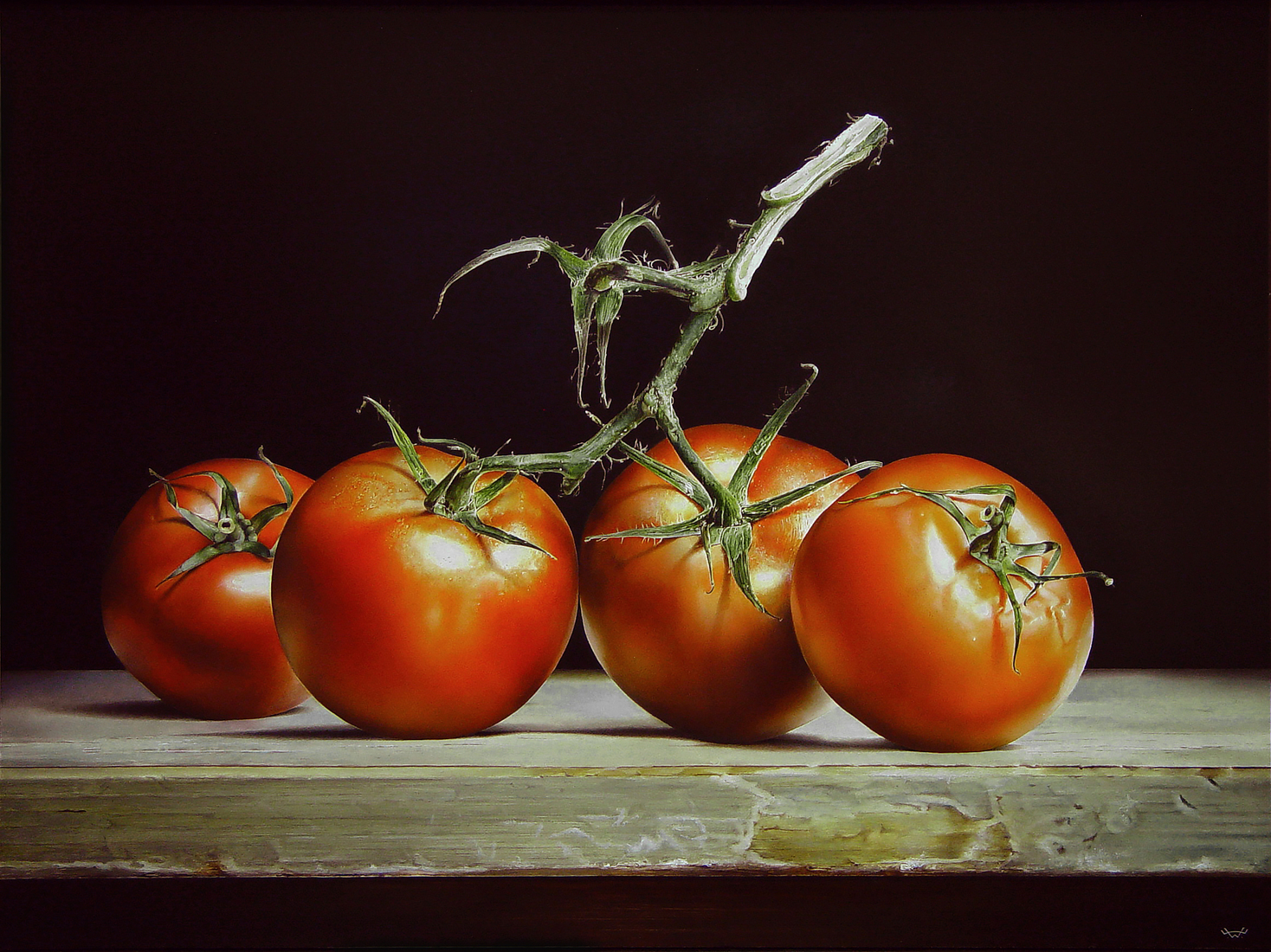 Tomaten. IV