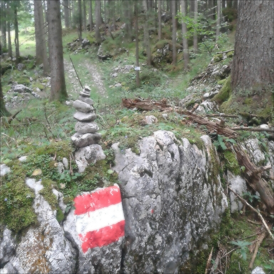 zomervakantie in Oostenrijk 2