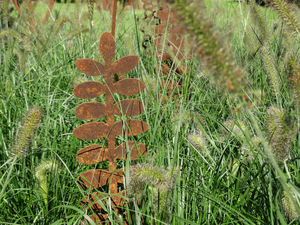 De Botanica-serie bestaat uit sierlijke cortenstalen objecten die als vanzelf samensmelten met hun omgeving. Tussen gras, bladeren of bloemen voegen ze zich naar het ritme van de natuur – als nieuwe vormen van groei.

Ze versterken het groen, nodigen uit tot verstilling en verwondering, en openen de blik voor het organische spel van lijnen en structuren.

Vervaardigd uit cortenstaal, ontwikkelen ze buiten een warme, levendige huid die meebeweegt met de seizoenen.