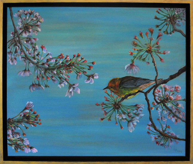 Vogel op Japanse Kersenbloesem