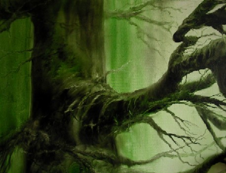 tree in the green forest