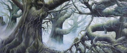 Fangorn Forest