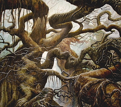 Fangorn Forest in the perspective of a frog