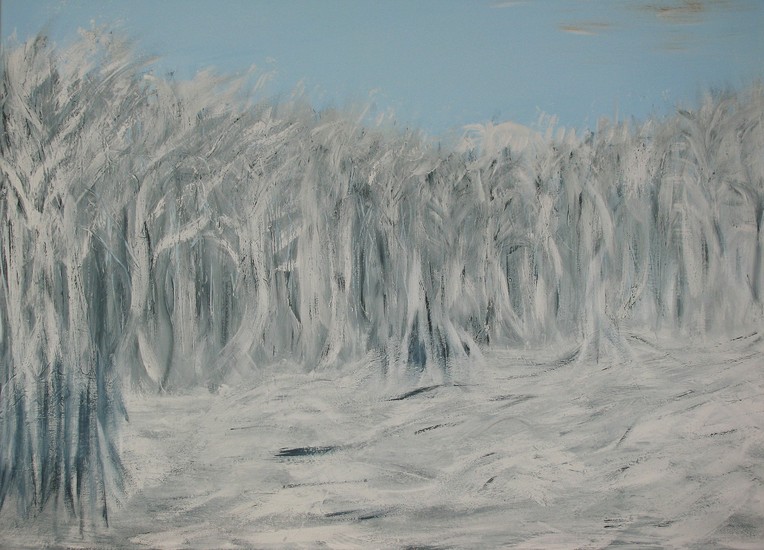 Winter in my village II