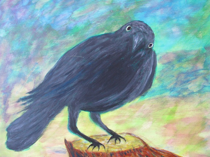 What are you looking at