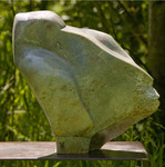 wish I could fly ....