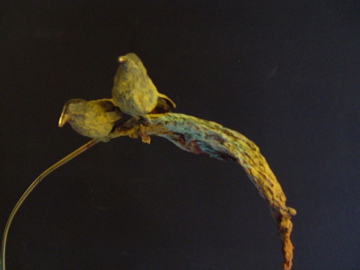 paartje vogels op pluim