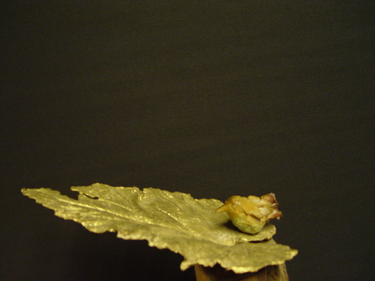 vogeltje op weegbree