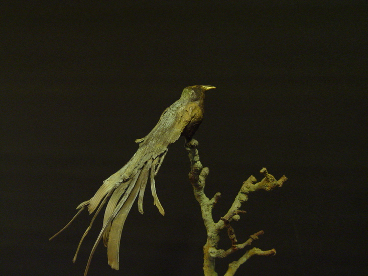 paradijsvogel op tak