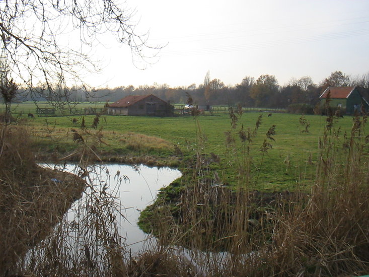 Overveerpolder -20
