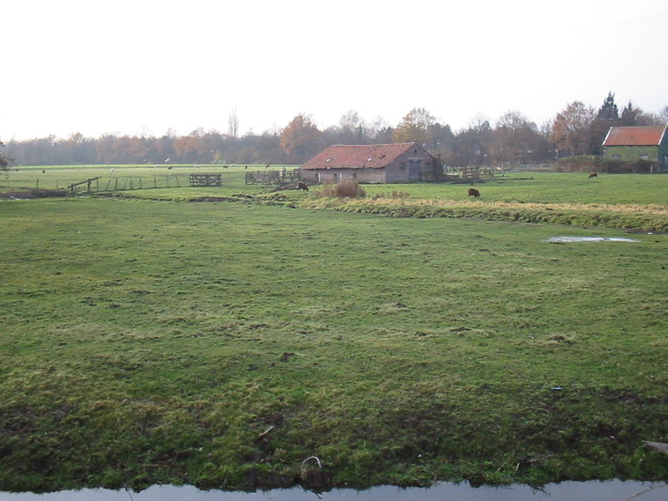 Overveerpolder -21
