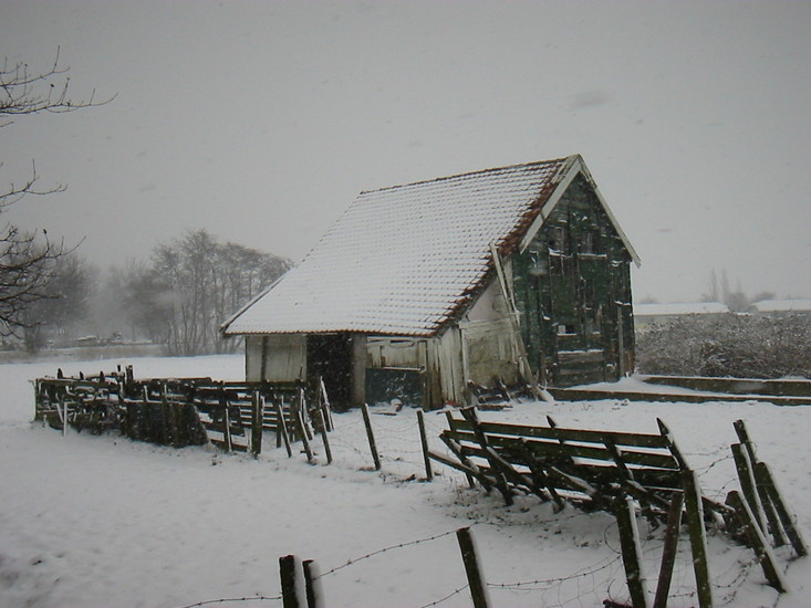 Winterse Overveerpolder -*