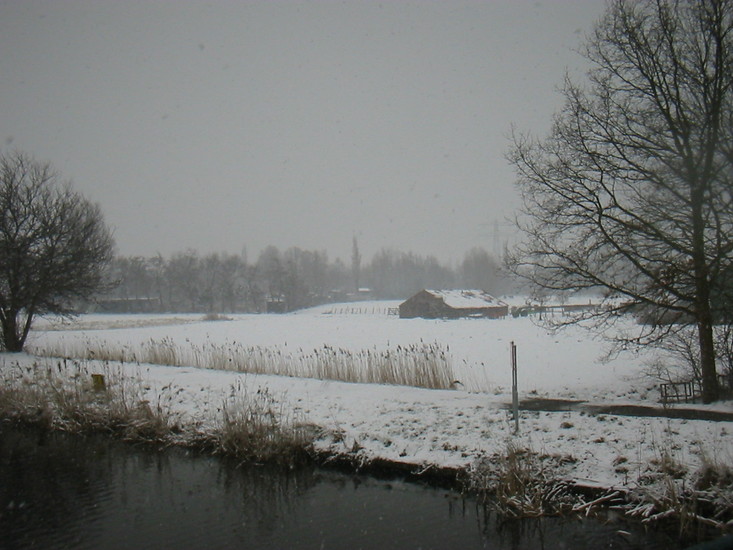 Winterse Overveerpolder -*a2
