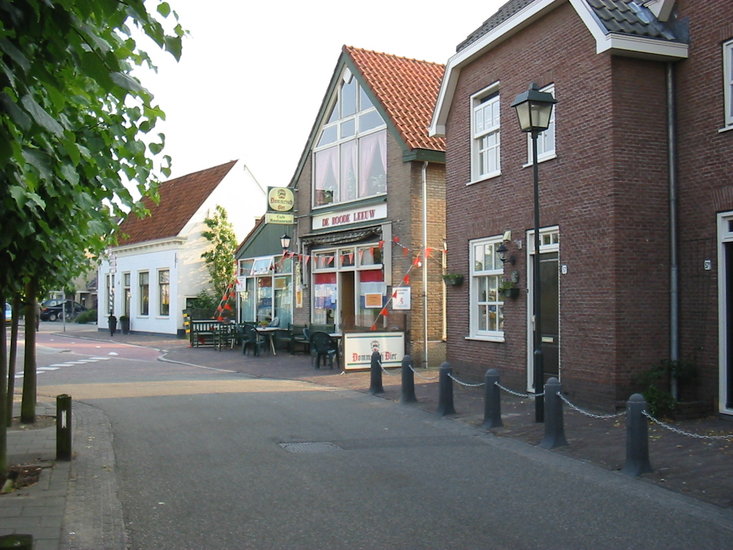 De Rode Leeuw -**