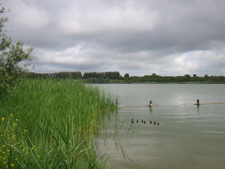 Klinkenbergerplas-Aa