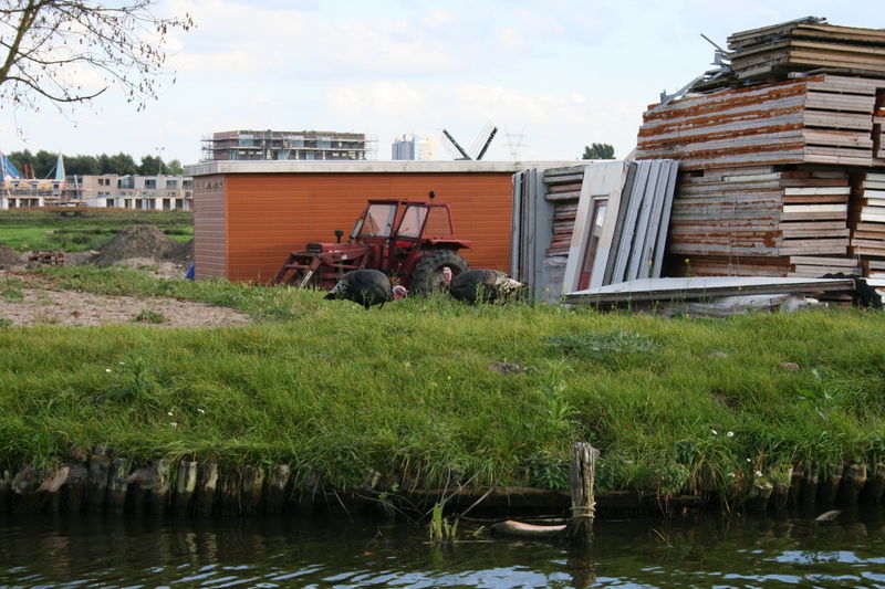Boerderij Zwetsloot -Af