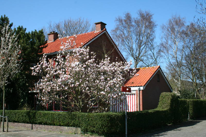 Gruneriebuurt - A