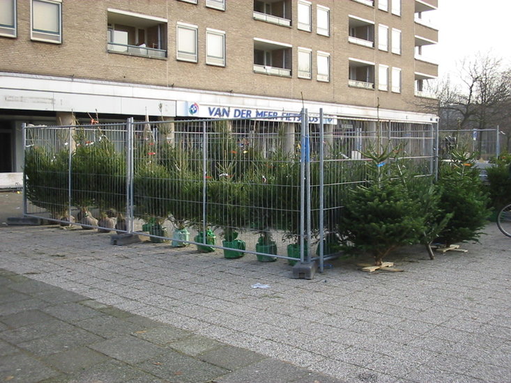 Oude Lange Voort -ai