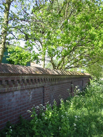 ´t Oude Tolhuysch -1h