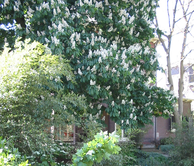 Leidsche Straatweg -A1b