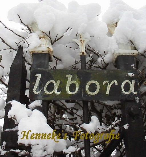 Ora et Labora - Hek 2