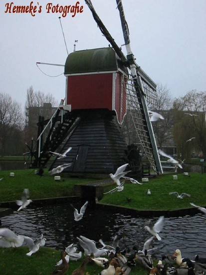 Wipwatermolen Irispark -5