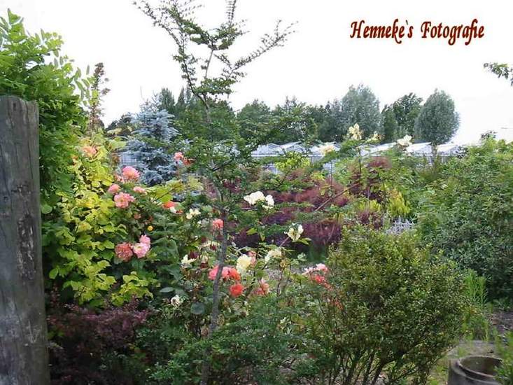 Langs 'De Dijk' - 13