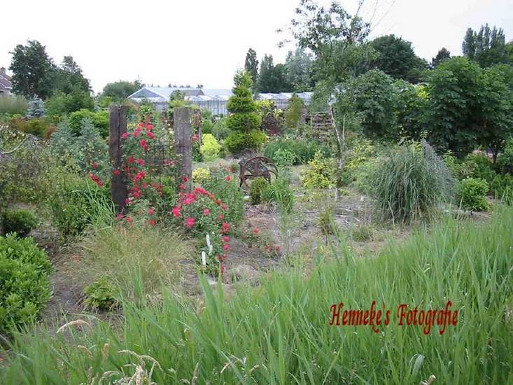 Langs 'De Dijk' - 16