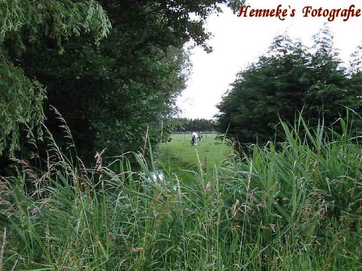 Langs 'De Dijk' - 19