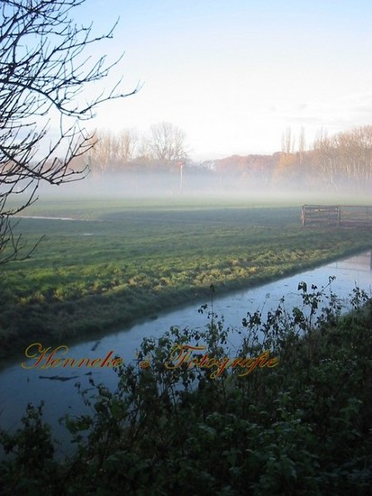 Stukje natuur -2