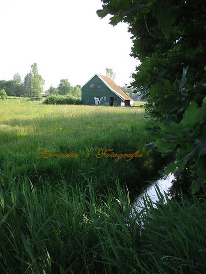 Overveerpolder -9