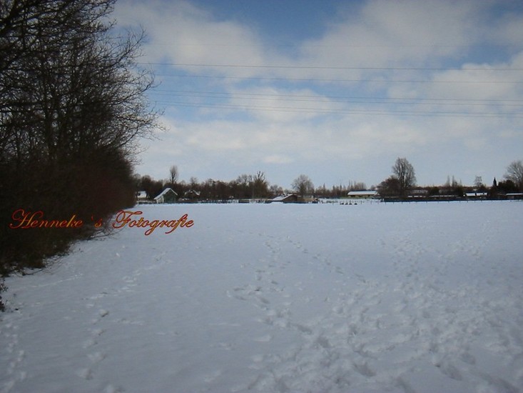 Winterse Overveerpolder -*a3