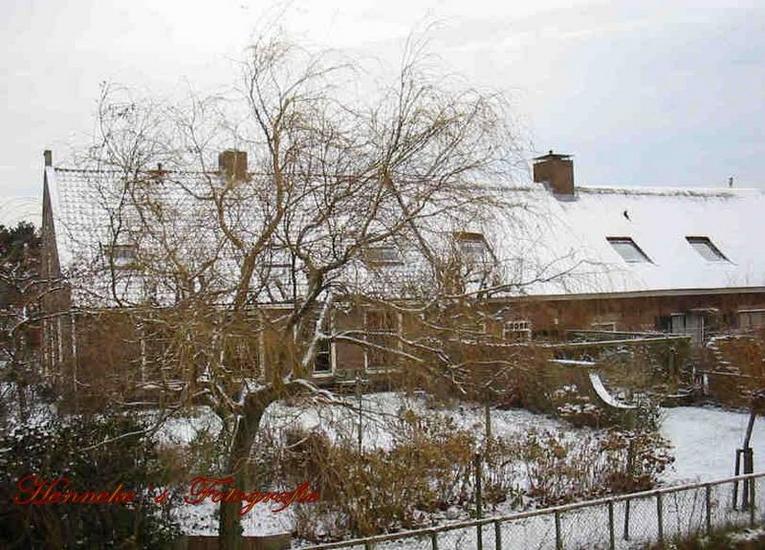 Boerderij Haaswijk 8