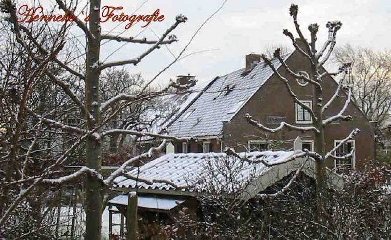 Boerderij Haaswijk 12