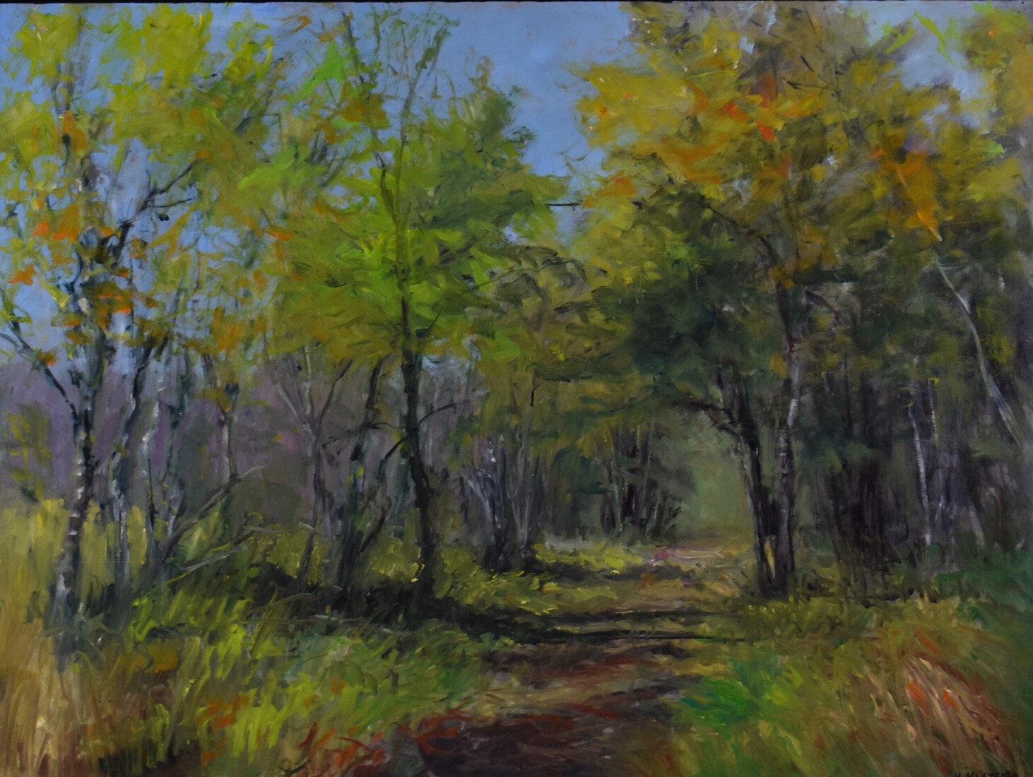 Diaconievene Nijeberkoop