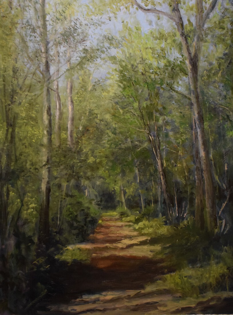 Diaconievene Nijeberkoop