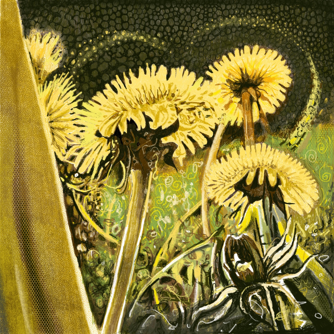 Gras 57