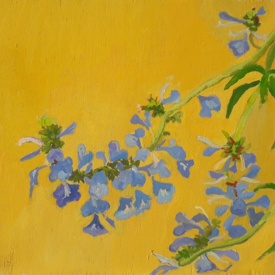 Blauwe bloemen 2