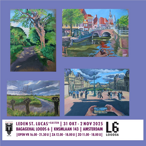 Deze schilderijen gaan over de beperkte blik tonen die je hebt als je probeert weer te geven wat je ziet. Bij twee schilderijen toon ik wat je eigenlijk ziet: een deel van jouw lichaam en het uitzicht. In twee andere schilderijen focus ik me op de blik die je hebt. Als schilder kader ik alles af op het doek. Je feitelijke blik is is minder sterk afgekaderd: aan de randen van je blik wordt het wazig. Daarom heb ik de randen in deze schilderijen niet helemaal doorgeschilderd.

