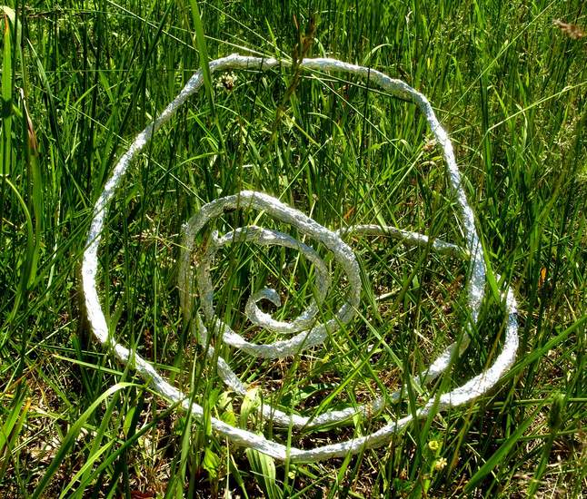 Spiraal zilver in het gras
