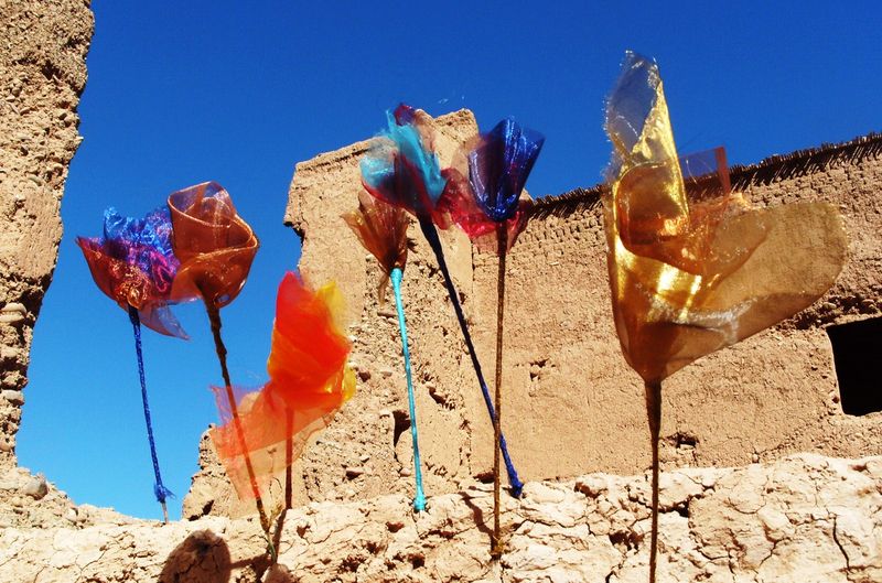Travelling Flowers Marokko