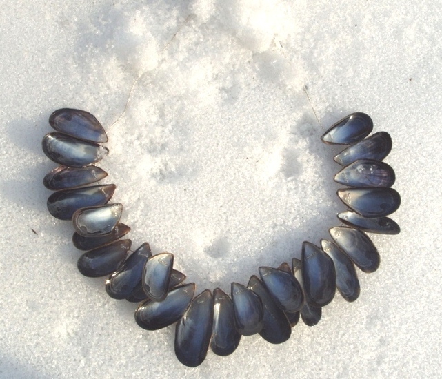 14. Mussel shells with glass pearls